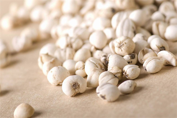 綠生藥業 專注天然養身，科技賦能保健食品新未來